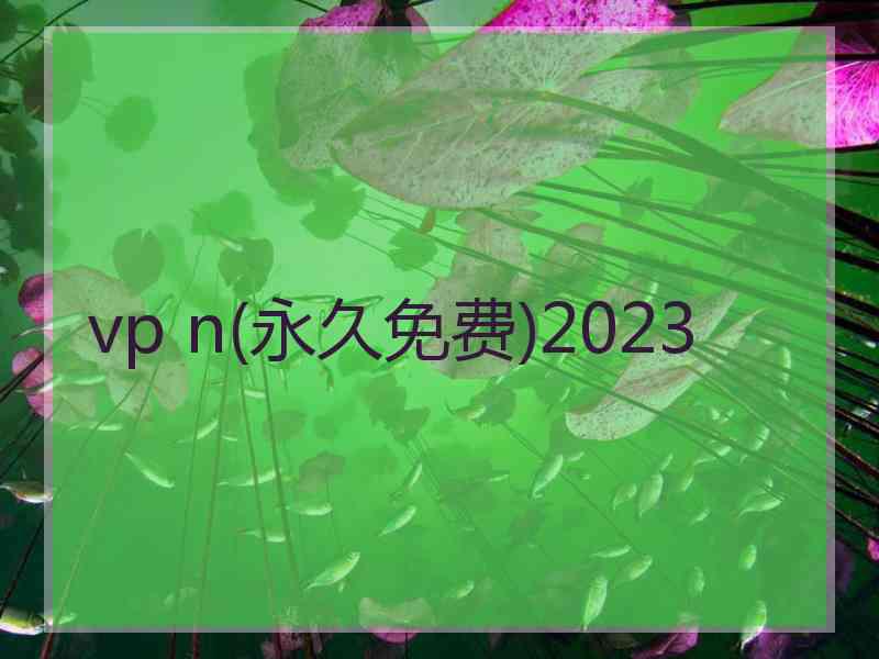 vp n(永久免费)2023