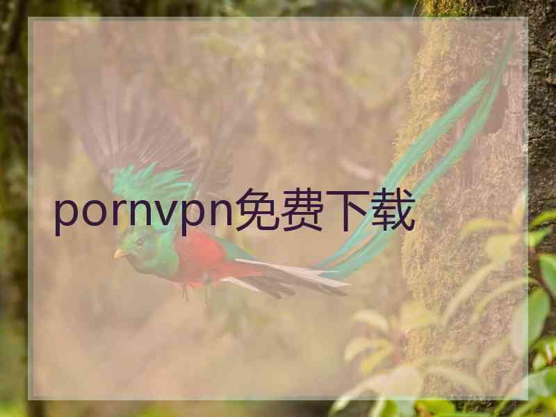 pornvpn免费下载