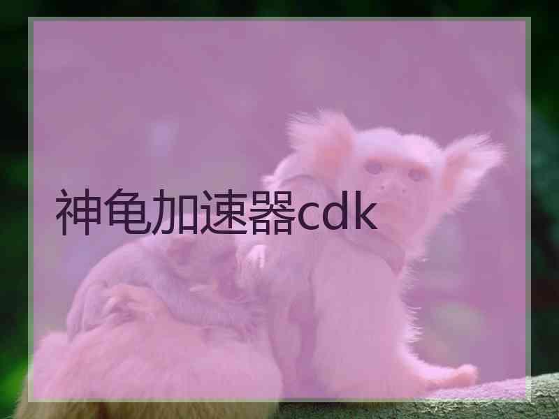 神龟加速器cdk