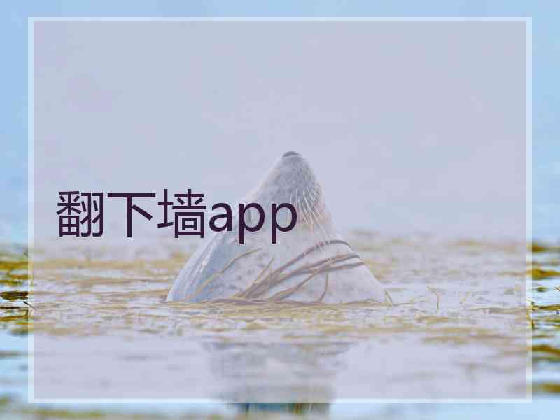 翻下墙app