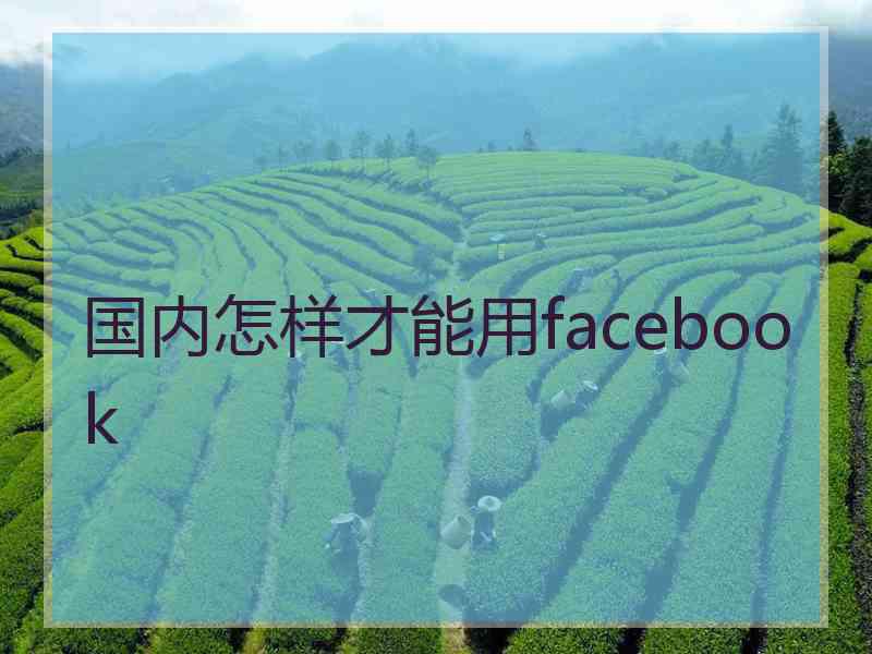 国内怎样才能用facebook