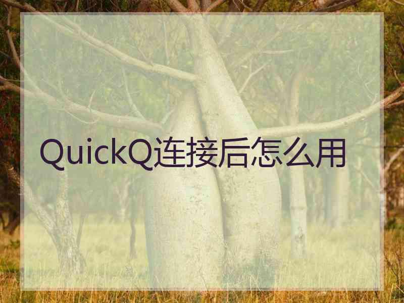 QuickQ连接后怎么用