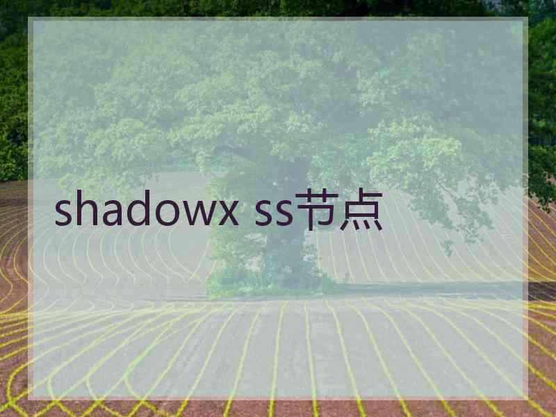 shadowx ss节点