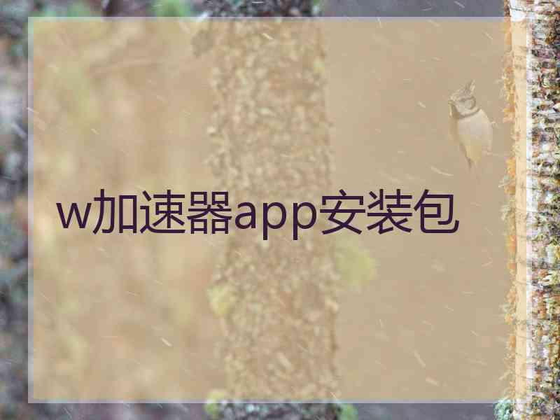 w加速器app安装包