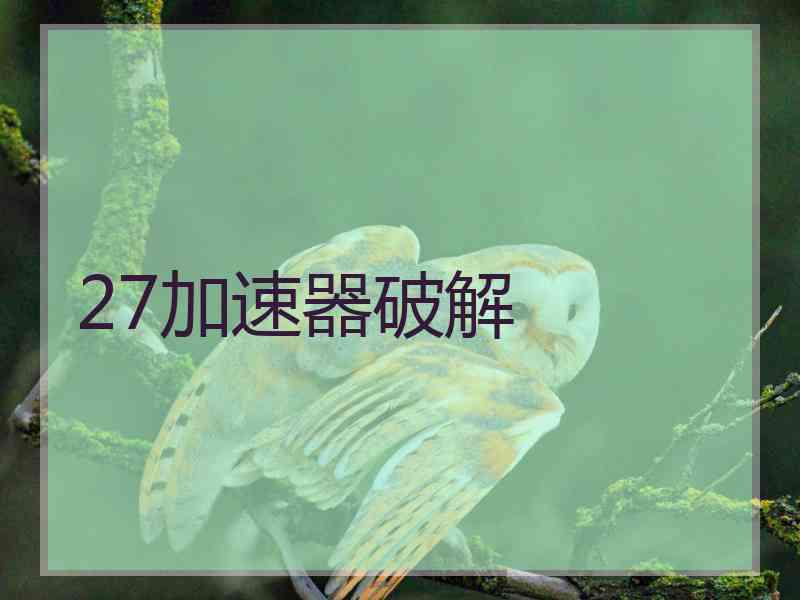 27加速器破解