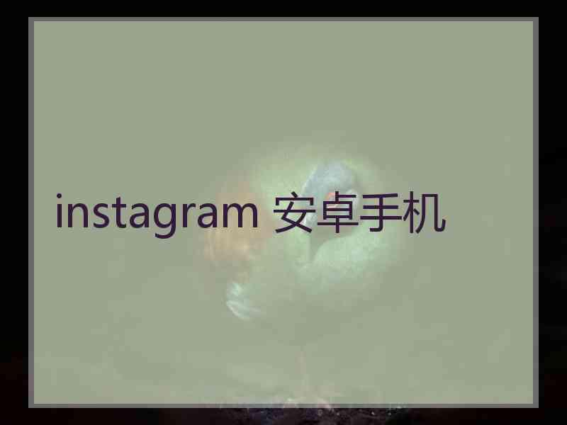 instagram 安卓手机