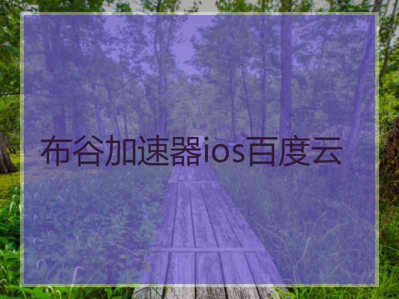 布谷加速器ios百度云