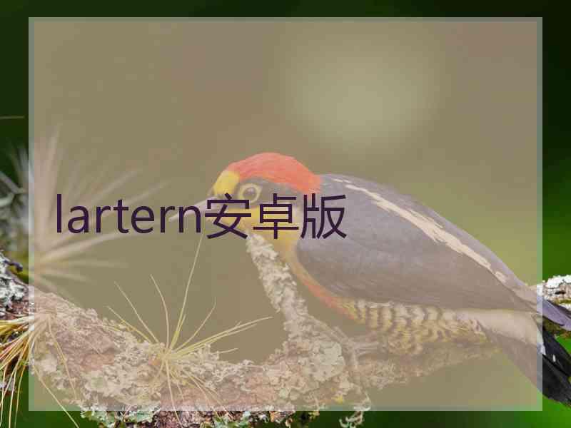 lartern安卓版